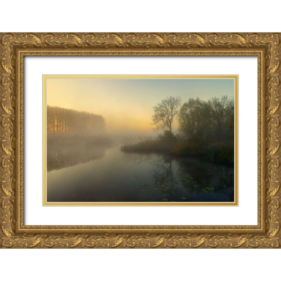 Borggreve, Ellen 24x17 Gold Ornate Wood Framed with Double Matting Museum Art Print Titled - Natures Painting