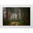 thumbnail image 1 of Borggreve, Ellen 32x23 White Modern Wood Framed Museum Art Print Titled - Reveries, 1 of 4