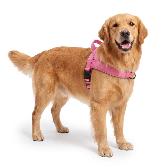 Borikise Dog Friendly Co Harness, No Pull Adjustable Chest Strap With Secure Fit, Easy Walk Harness For Daily Training And Outdoor Activities