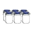 thumbnail image 1 of Bormioli Rocco Fido Swing Top Canning Jars with Blue Lid (Set of 6) | 33.75oz (1L), 1 of 2