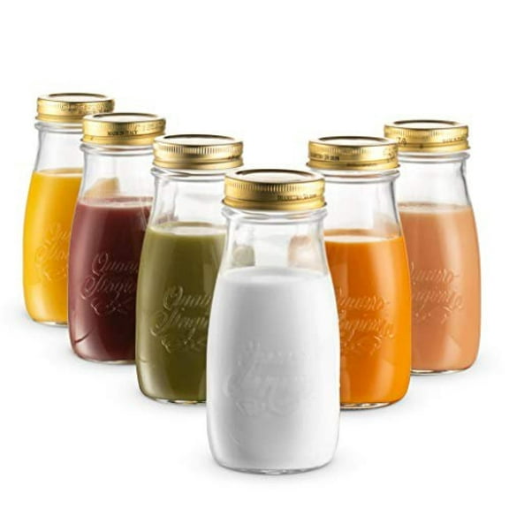 Bormioli Rocco Quattro Stagioni Bottles (Set of 6) - 13.5 Oz. Clear Glass with Twist Lids for Food Preserving, Beverage Serving, Homemade Gifts, Sauces & Infused Drinks - Airtight, Made in Italy