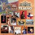 thumbnail image 1 of Born And Raised Tejano 20 Big Hits - Various Artists (CD), 1 of 1