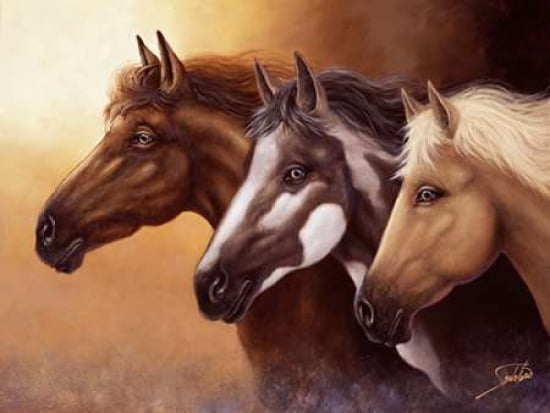 Born Free Canvas Art - Sambataro (18 x 24)