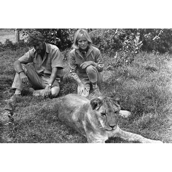 Born Free Virginia Mckenna Bill Travers 24x36 Poster
