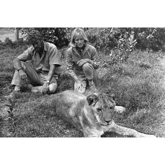 Born Free Virginia Mckenna Bill Travers 24x36 Poster