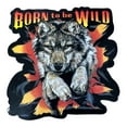thumbnail image 1 of Born To Be Wild Magnet (5" x 5"), 1 of 1