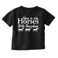 thumbnail image 1 of Born To Ride Horses With Grandma Toddler Boy Girl T Shirt Infant Toddler Brisco Brands 12M, 1 of 6