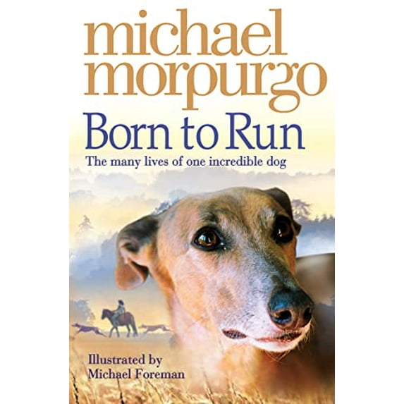 Pre-Owned Born to Run (Paperback) 0007230591 9780007230594