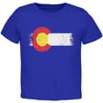 thumbnail image 1 of Born and Raised Colorado State Flag Toddler T Shirt Royal Toddler Size 5/6, 1 of 1