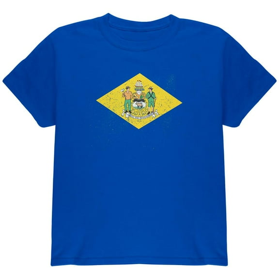 Born and Raised Delaware State Flag Youth T Shirt Royal YLG