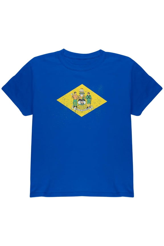 Born and Raised Delaware State Flag Youth T Shirt Royal YSM
