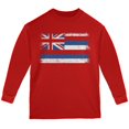 thumbnail image 1 of Born and Raised Hawaii State Flag Youth Long Sleeve T Shirt Red YLG, 1 of 1