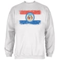 thumbnail image 1 of Born and Raised Missouri State Flag Mens Sweatshirt White MD, 1 of 1
