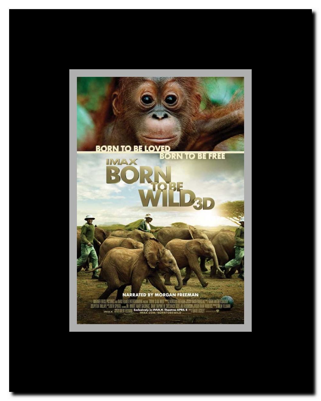 Born to Be Wild Framed Movie Poster