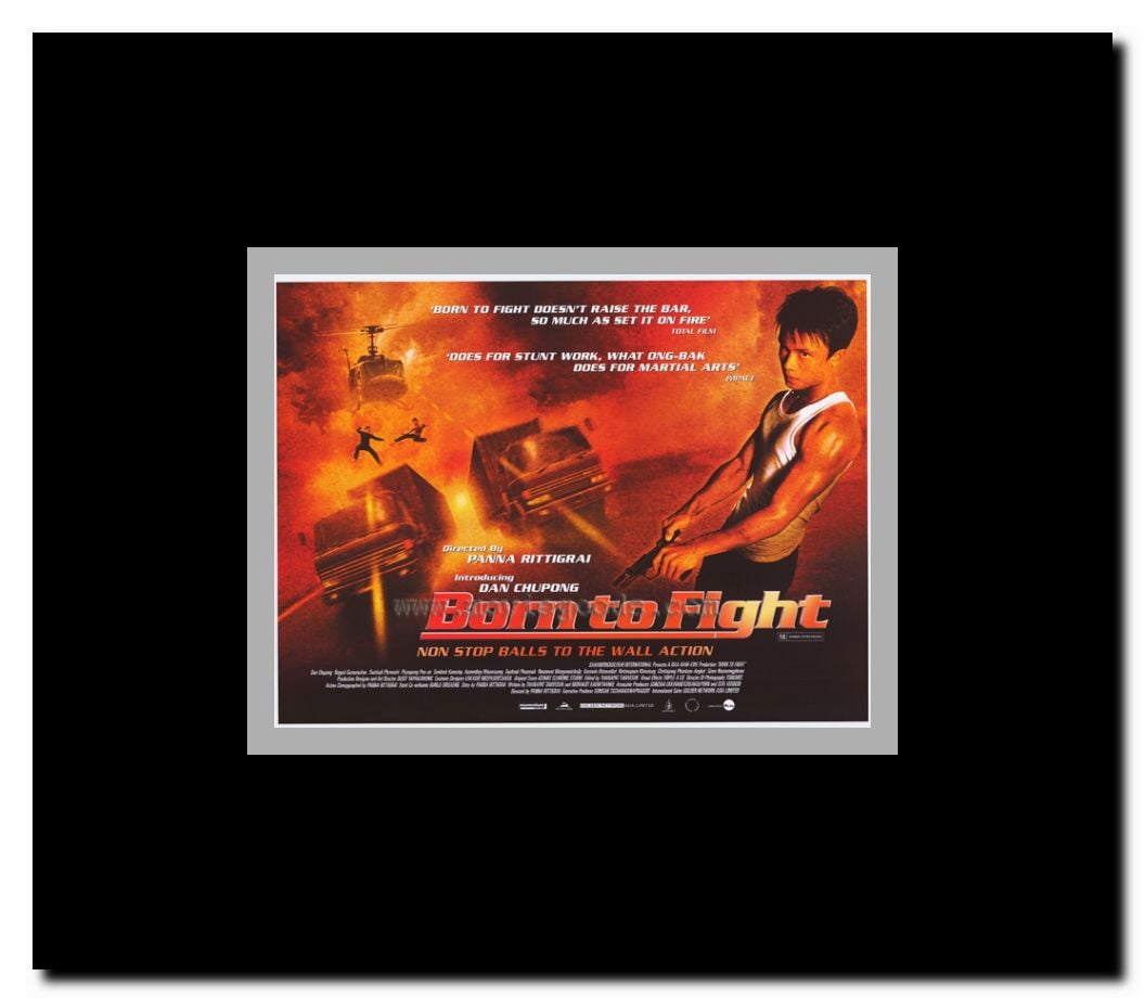 Born to Fight Framed Movie Poster