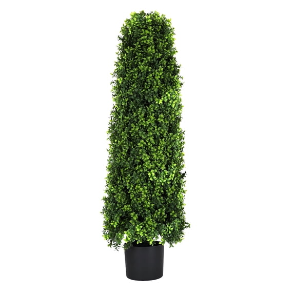 Bornbridge 4' Tower Tree - English Boxwood - 1 Pack