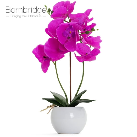 Bornbridge Artificial Orchid - Fake Orchid Plant with Real Touch Flowers (Single, Violet - Large)
