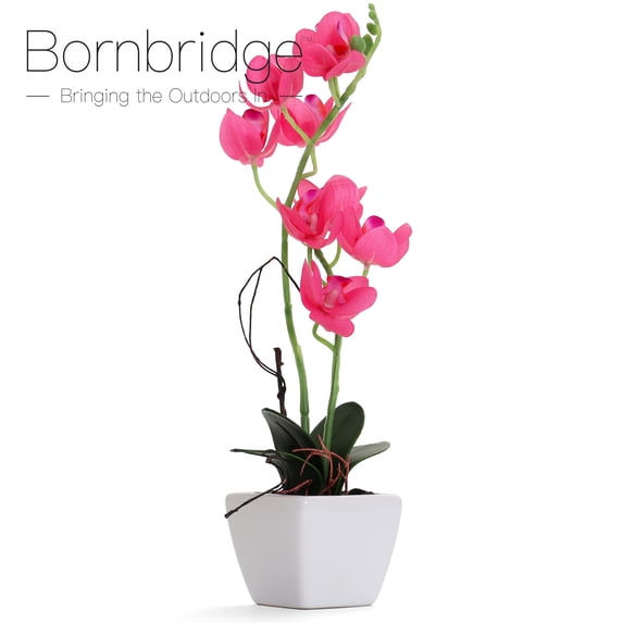 Bornbridge Artificial Potted Orchid - 2-Pack - Hot Pink - Medium