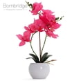 thumbnail image 1 of Bornbridge Artificial Potted  Orchid - Single - Hot Pink - Large, 1 of 5