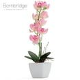 thumbnail image 1 of Bornbridge Artificial Potted Orchid with Long Stem - 2 Pack - Light Pink - Medium, 1 of 5