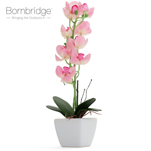 Bornbridge Artificial Potted Orchid with Long Stem - 2 Pack - Light Pink - Medium