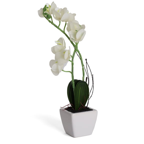 Bornbridge Artificial Potted Orchid with Long Stem (2 Pack, White - Medium)