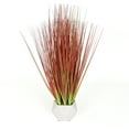 thumbnail image 1 of Bornbridge Artificial Potted Red Grass Plant (White Planter), 1 of 1