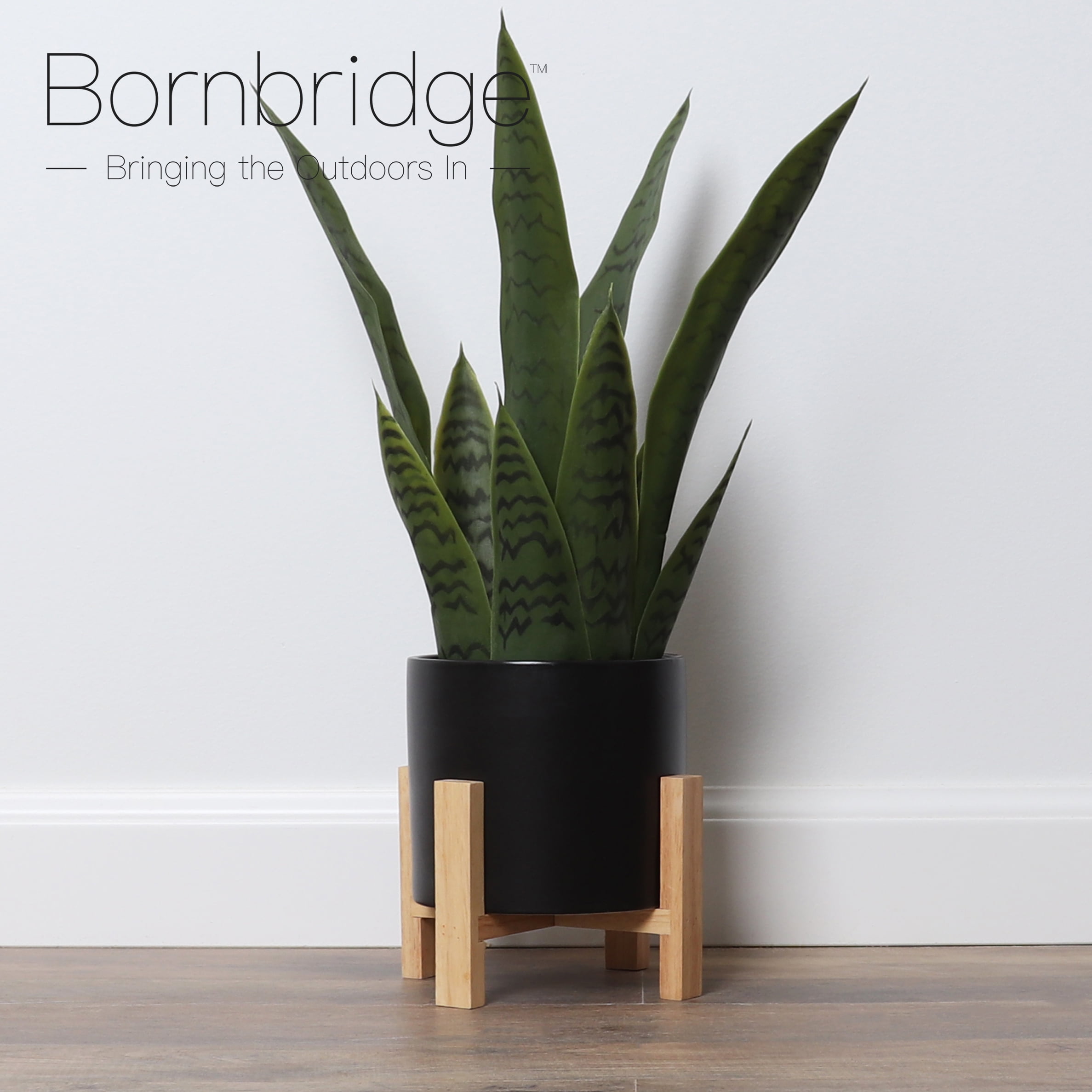 Bornbridge Artificial Snake Plant in Mid Century Plant Stand (Medium/ 1  Pack)