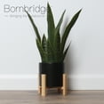 thumbnail image 1 of Bornbridge Artificial Snake Plant in Mid Century Plant Stand (Medium/ 1 Pack), 1 of 4