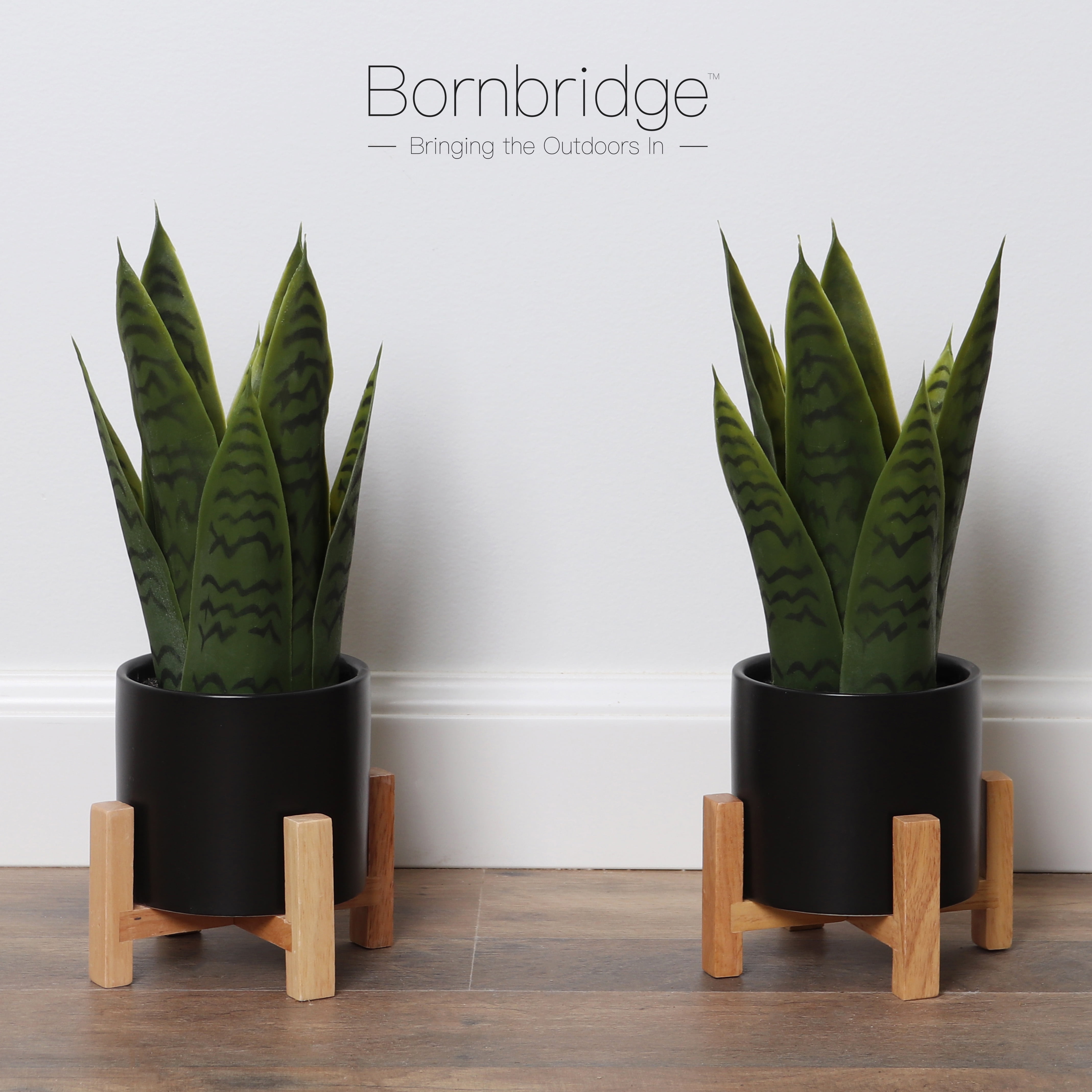 Bornbridge Artificial Snake Plant in Mid Century Plant Stand (Small / 2  Pack)