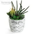 thumbnail image 1 of Bornbridge Artificial Succulent Plants in Planter - Mini Succulent Plants - Mica, 1 of 5