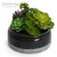 thumbnail image 1 of Bornbridge Artificial Succulent Plants in Planter -  Mini Succulent Plants - Madera, 1 of 7