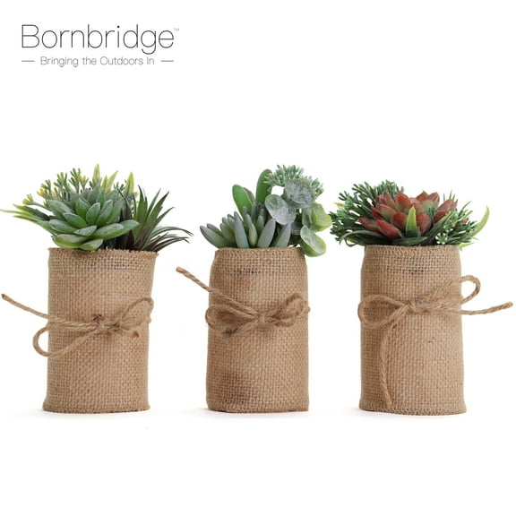 Bornbridge Artificial Succulent Plants in Planter - Mini Succulent Plants - Catalina