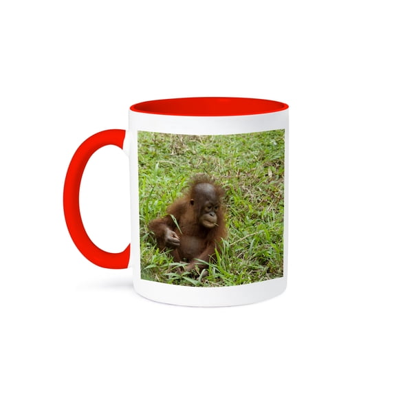 3dRose, Bornean Orangutan primate, Borneo, Malaysia - AS23 CMI0177 - Cindy Miller Hopkins, 11oz Two-Tone Red Mug
