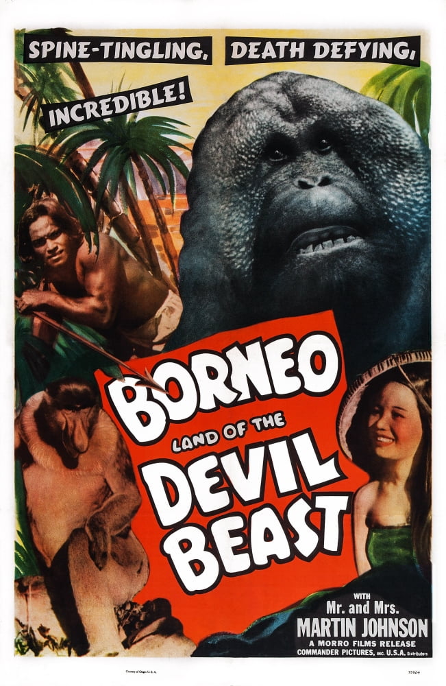 Borneo U Canvas Art - (24 x 36)