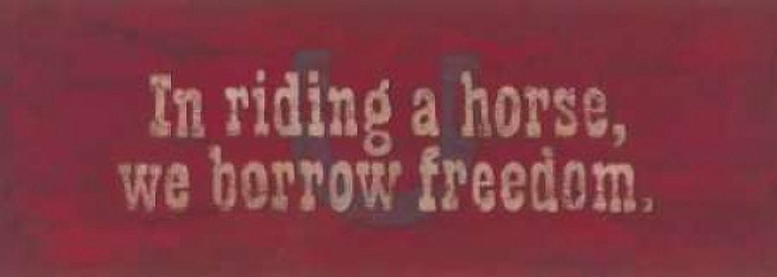 Borrow Freedom Canvas Art - Stephanie Marrott (24 x 48)