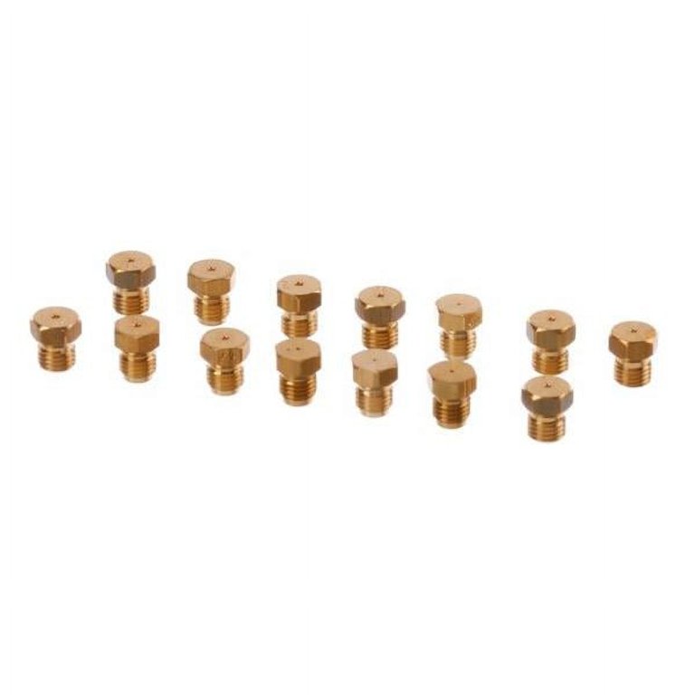 Bosch 10015684 Nozzle Set Liquid Gas (Genuine Oem Part) - Walmart.com