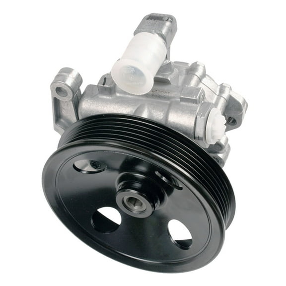 Steering pump, mechanical