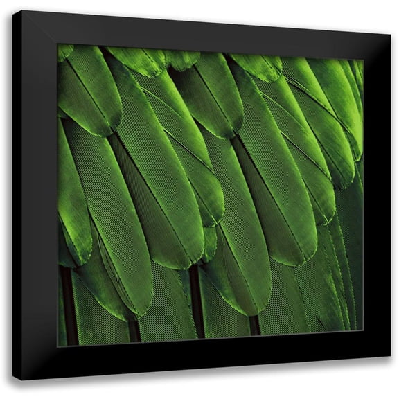 Bosco, Julia 12x12 Black Modern Framed Museum Art Print Titled - Feathered Friend - Green