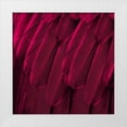 thumbnail image 1 of Bosco, Julia 12x12 White Modern Wood Framed Museum Art Print Titled - Feathered Friend - Magenta, 1 of 4