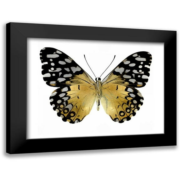 Bosco, Julia 14x12 Black Modern Framed Museum Art Print Titled - Golden Butterfly IV