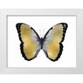 thumbnail image 1 of Bosco, Julia 14x12 White Modern Wood Framed Museum Art Print Titled - Butterfly in Metallic I, 1 of 4