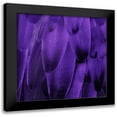 thumbnail image 1 of Bosco, Julia 15x15 Black Modern Framed Museum Art Print Titled - Feathered Friend - Purple, 1 of 5