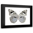 thumbnail image 1 of Bosco, Julia 18x15 Black Modern Framed Museum Art Print Titled - Butterfly in Grey II, 1 of 5