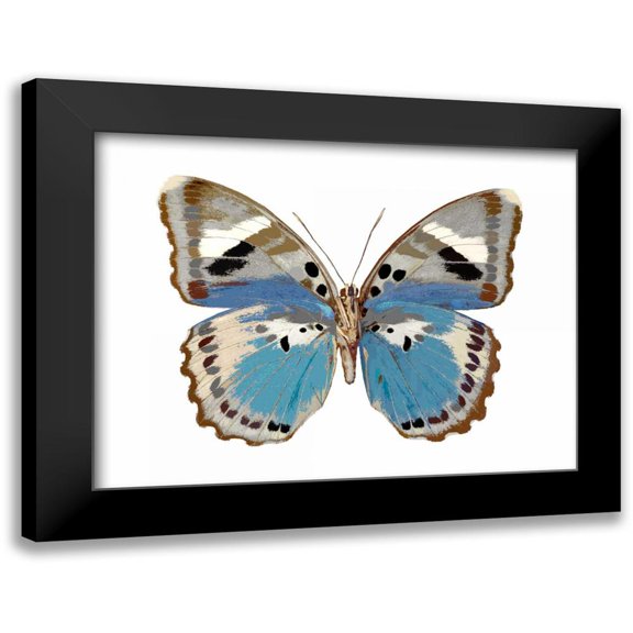 Bosco, Julia 18x15 Black Modern Framed Museum Art Print Titled - Butterfly in Pink I