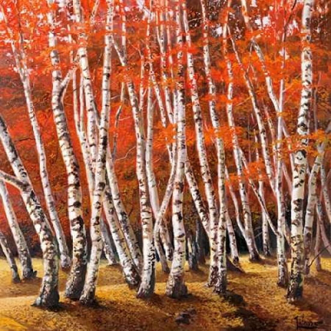 Bosco di betulle I Canvas Art - Adriano Galasso (24 x 24)