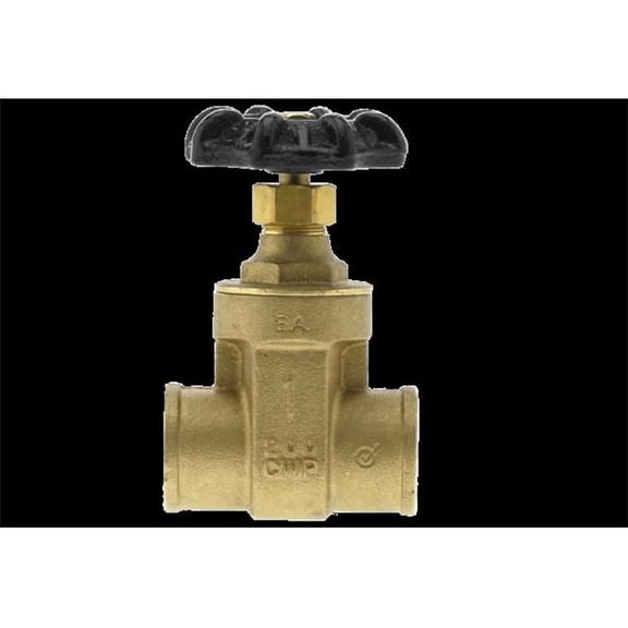Boshart Industries PENL-GV220C 2 in. 200 lbs Wog NSF Gate Valves