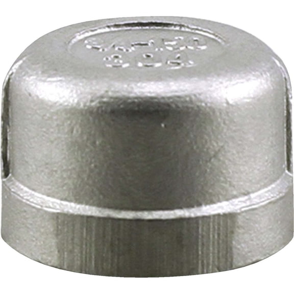 Plumbeeze Stainless Steel Cap U2-SSCA-07 - 304 Stainless Steel - 0.75"