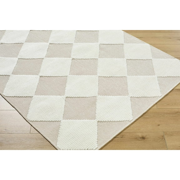 Bosley Contemporary Area Rug - Beige, Cream - 3'3" x 5'