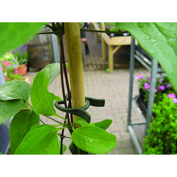 Bosmere H201 Lever Loop Plant Grippers (100)